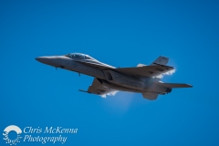 _DSC4990 _DSC4990