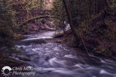 Whatcom_Falls_Bridge_1557-Edit