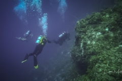 Instagram -  C0009T01