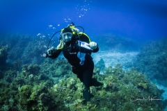 Instagram -  SNY00648