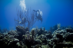 Instagram -  SNY00715