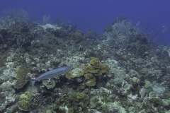 Instagram -  SNY00717