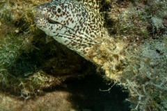 Instagram -  SNY00735