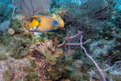 Instagram -  SNY00747