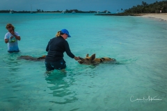 Instagram -  SNY00777