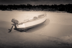 Instagram -  SNY00810