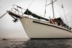 Instagram -  SNY00855