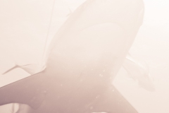 Instagram -  SNY00894