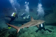 Instagram -  SNY00906-Edit