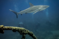 Instagram -  SNY00924-Edit