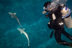 Instagram -  SNY00955