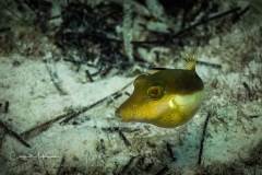 Instagram -  SNY01067