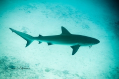 Instagram -  SNY01103