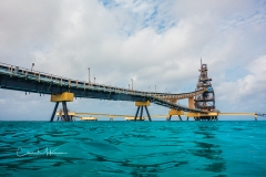 Instagram-SNY09956 Instagram-SNY09956