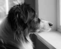 DSC5937 DSC5937