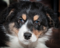 DSC_2196 DSC_2196