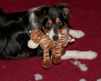 DSC_2959 DSC_2959