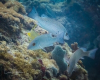 Instagram-SNY07612 Instagram-SNY07612