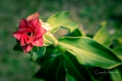 Instagram - _DSC8377 Instagram - _DSC8377