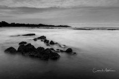 Instagram - _DSC8391 Instagram - _DSC8391