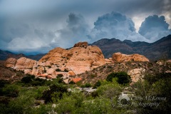 Cougar_Rock