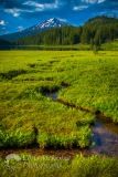 Mt. Bachelor 0791