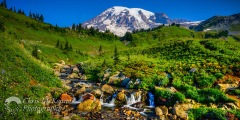 Mt. Rainier and Edith Creek