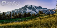 Mt. Rainier Autumn 2325
