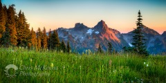 Tatoosh Autumn 2367