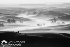 Palouse Harvest 4204