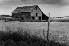 Palouse Barn 4544