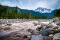 Nisqually River and Mt. Rainier