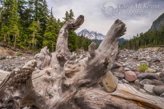 Mt. Rainier Log Frame