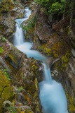Mountain Stream 5857