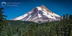 Mt. Hood 5978
