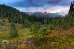Tatoosh 6585