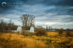 Old Barn 7733