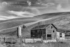 Palouse Barn