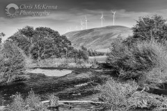 Palouse Stream 3082