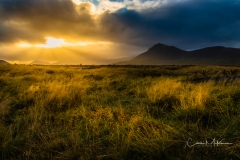 Instagram - _DSC4264-Edit