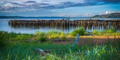 Ruston_Pilings