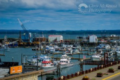 Westport