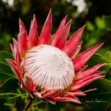 Instagram-_DSC0369 Instagram-_DSC0369