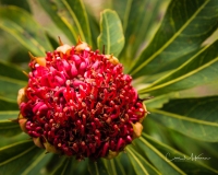Instagram-_DSC0399 Instagram-_DSC0399