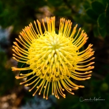 Instagram-_DSC0412 Instagram-_DSC0412