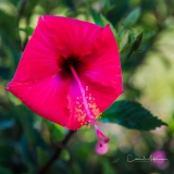 Instagram-_DSC8404