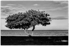 Instagram-_DSC8410-Edit Instagram-_DSC8410-Edit