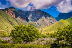 Instagram-_DSC8498 Instagram-_DSC8498