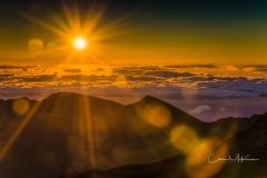 Instagram-_DSC8745_6_7_8_9-Edit Instagram-_DSC8745_6_7_8_9-Edit