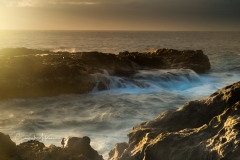 Instagram-_DSC9392-Edit Instagram-_DSC9392-Edit